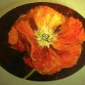 Poppy III - Oil painting - drawing