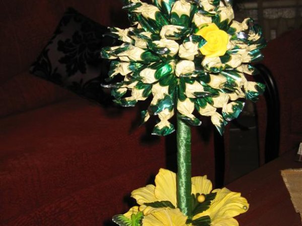 candy tree - Floristics