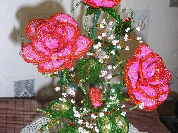 roses - Floristics