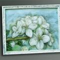 apple blossom - Watercolor - drawing