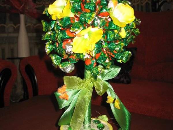 candy tree - Floristics