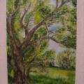 ... tree .. - Oil painting - drawing