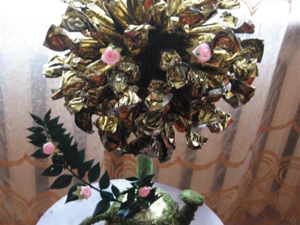 candy tree - Floristics