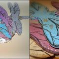 Dragonfly - Decoupage - making
