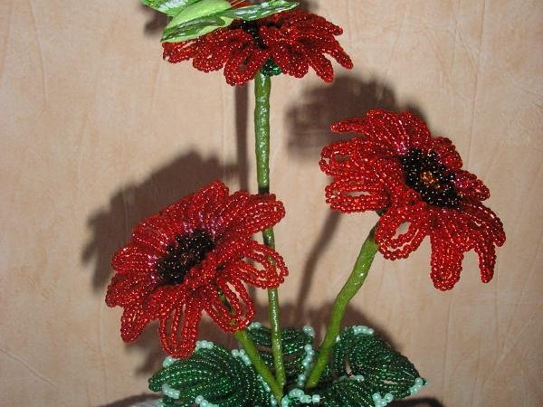 geles - Biseris