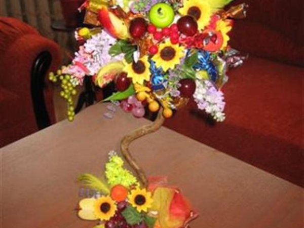 candy-fruit tree - Floristics