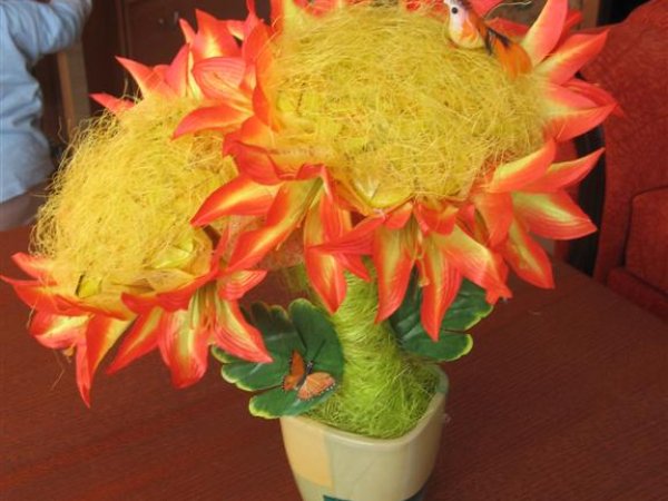 candy flower - Floristics