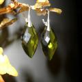 Earrings - Earrings - beadwork