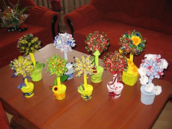 candy tree - Floristics