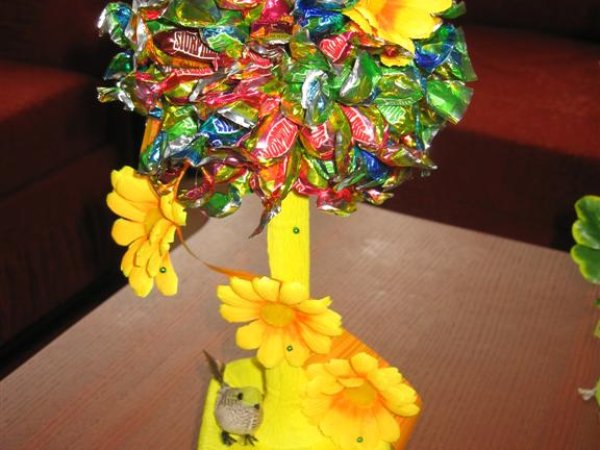 candy tree - Floristics