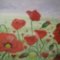 Poppies - Pictures - drawing