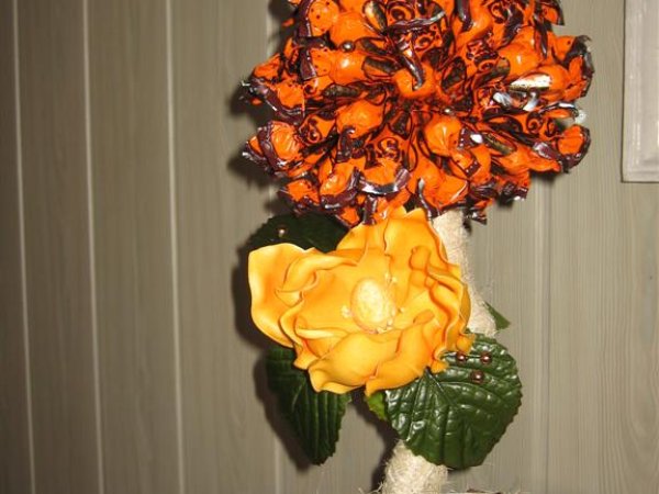 candy tree - Floristics