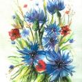 Cornflower - Watercolor - drawing