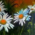 Daisy - Oil painting - drawing