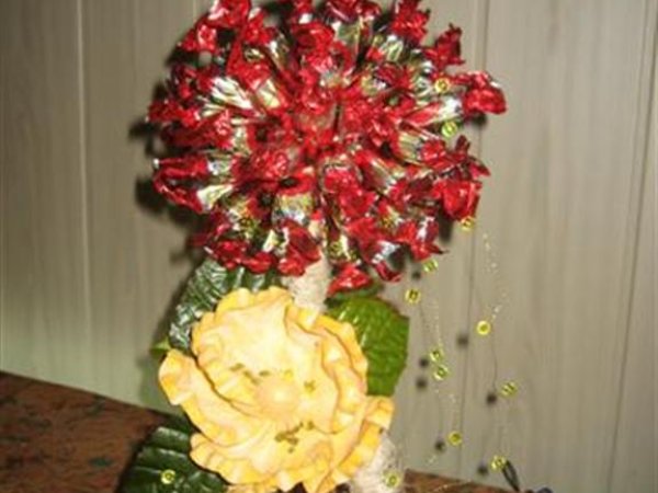 candy tree - Floristics