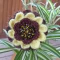 Sunflower - Brooches - needlework