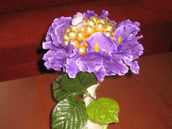candy-tree flower - Floristics