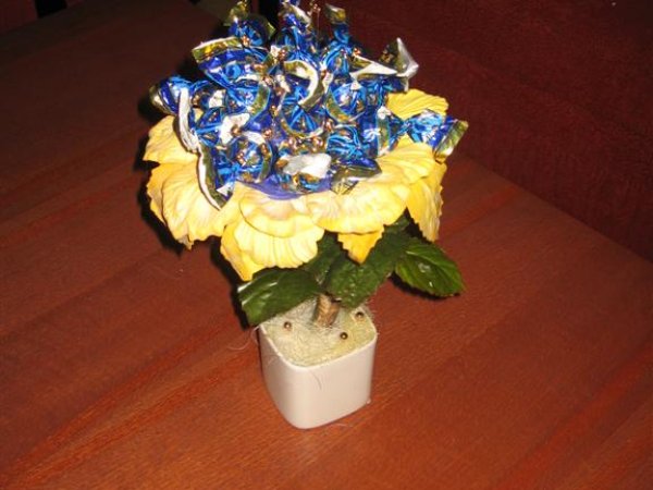 candy-tree flower - Floristics