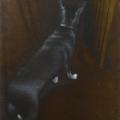" The dog looks at the stairs " - Oil painting - drawing