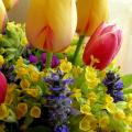 Spring flowers - Floristics - making