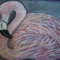 Flamingo - Pictures - drawing