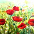 Poppy Field - Oil painting - drawing