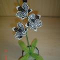 Orchideja " classic " - Biser - beadwork