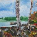 The Birches - Acrylic painting - drawing