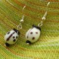 Beetle - Earrings - beadwork