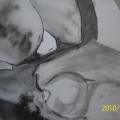 Sleeping 2 - Pictures - drawing