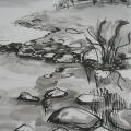 coast - Pictures - drawing