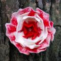 Red-white - Flowers - felting