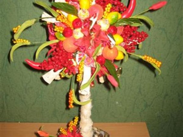 candy fruit tree - Floristics