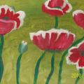 Poppies - Acrylic painting - drawing
