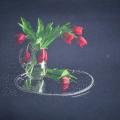 tulips in a vase - Needlework - sewing