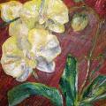 Orchids - Oil painting - drawing