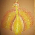 The Golden Bird - Pictures - drawing