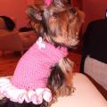 dress Puppies - Other clothing - needlework