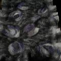 Harmony - Wraps & cloaks - felting