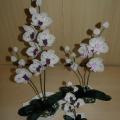 Orchids " Perliukai " - Biser - beadwork