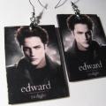 Decoupage aukarai 243 - Earrings - beadwork