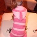 Striped sweater - For pets - knitwork