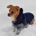 Coat Puppies - Sweaters & jackets - knitwork
