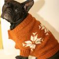 Sweater puppy - For pets - knitwork