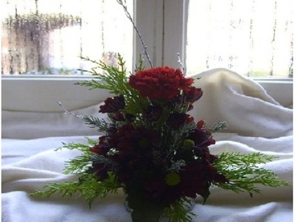 Composition - Floristics