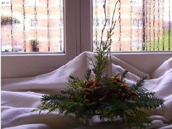 Composition 1 - Floristics