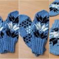 Zydrunas - Gloves & mittens - knitwork