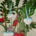 Love " Money tree " - For interior - felting