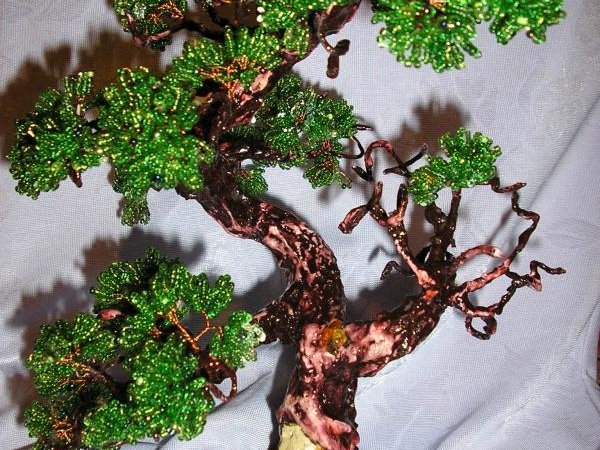 bonsai 2
