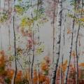 Birch dance - Oil painting - drawing